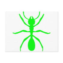 Green Ant Postcards