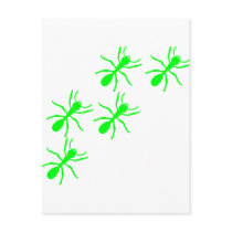 green ant trail post cards