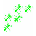 green ant trail t-shirts