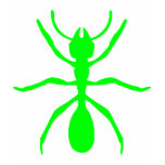 Green Ant t-shirts