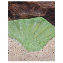 Green Beach Glass Letterhead