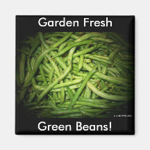 Green Beans in Spotlight Fridge Magnet