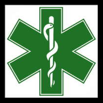 Green Black Grey Purple  Nurse EMS Star of Life posters