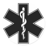 Green Black Grey Purple  Nurse EMS Star of Life Stickers