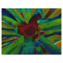 Green Blue Red Bromeliad Plant Image