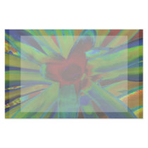 Green Blue Red Bromeliad Plant Image