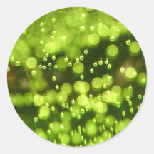 Green Bubbles Round Stickers