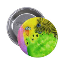 Green Budgie Buttons