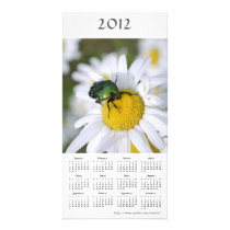 Green Bug 2012 Calendar Photo Card