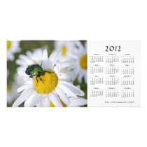 Green Bug 2012 Calendar Photo Card