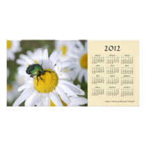 Green Bug 2012 Calendar Photo Card