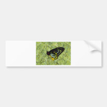Green Butterfly Bumper Sticker