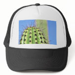 Green Cactus Thorns hats