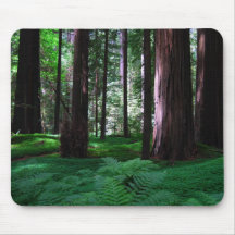Green Carpet of the Redwoods Mouse Pads