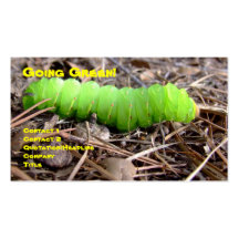 Green Caterpillar Business Cards