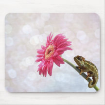 Green chameleon on pink flower mouse pad