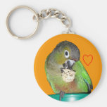 Green-cheeked conure keychain