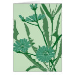 green chicory greeting cards