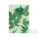 green clematis cards