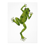Green Climbing Tree Frog Custom Announcements