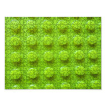 green  close up puzzle photographic print