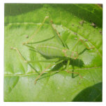 Green Cricket Camouflage Tile