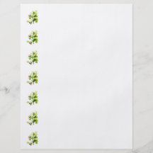 Green Cymbidium Orchids Flyers