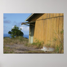 Green Door-Honokaa Print