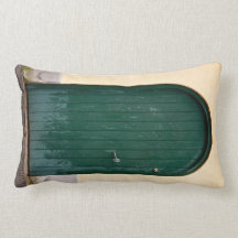 Green door throw pillow