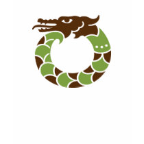 Green Dragon Ladie Micro-Fibre T-shirt