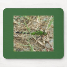 Green Dragonfly resting Mousepads