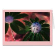 "Green Echinacea #1" Greeting Card