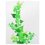 green eco vine letterhead