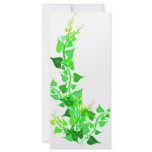 green eco vine rack cards