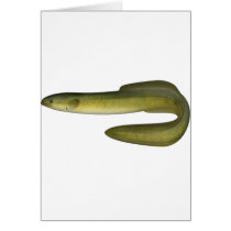 Green Eel