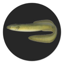 Green Eel