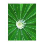 Green Energy  Postcard