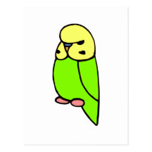 Green English Budgie Postcards