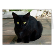 Green Eyed Black Cat; No Greeting Greeting Card
