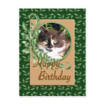 Green Eyed Calico Kitten Birthday Postcard