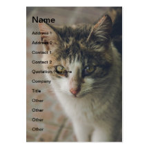 Green eyed cat business cards