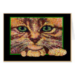 Green Eyed Kitten Card