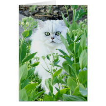 Green Eyed Monster Cards