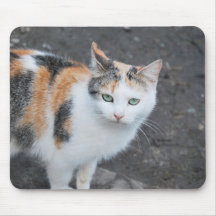 Green eyes cat mousepad