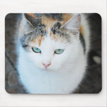 Green eyes cat mousepad