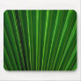 Green Fan Mousepad