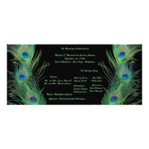Green Feathers with Black Wedding Program Full Colour Rack Card
