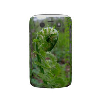 Green fern case-mate blackberry case