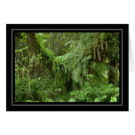 Green Ferns and Palm Trees Blank Card