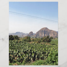 Green fields and mountain against the  blue sky flyer